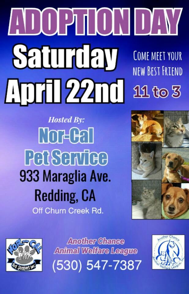 Adoption Day - Another Chance Animal Welfare League